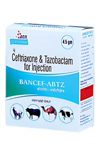 BANCEF-ABTZ 4.5 gm Injection