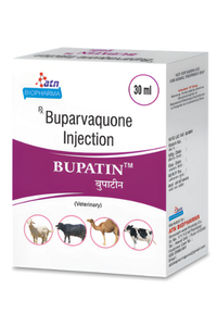 BUPATIN Injection