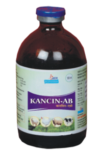 KANCIN-AB Injection