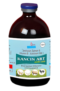 KANCIN ABT Injection