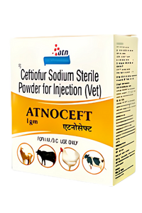 ATNOCEFT 1 gm/4 gm Injection