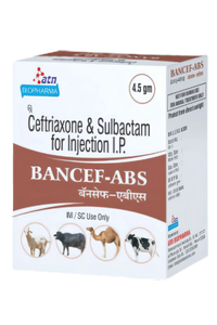 BANCEF-ABS 4.5 gm Injection